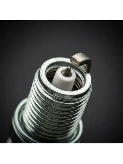 MLC-4093503976