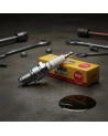MLC-4095493176